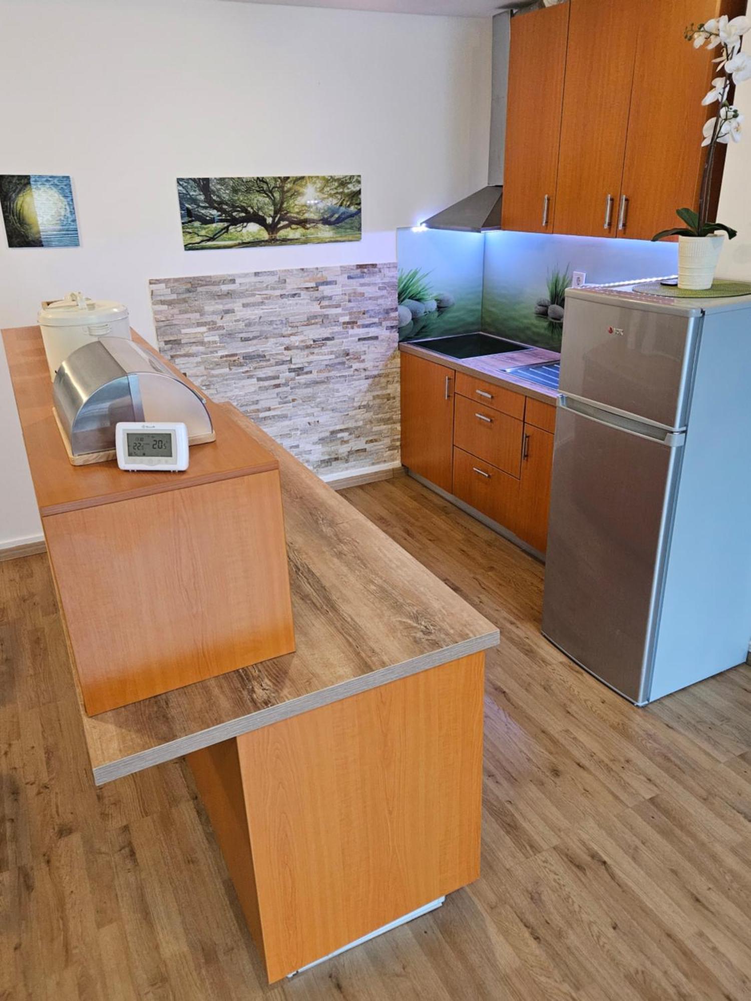 Apartment Zoya Kranjska Gora Exteriör bild